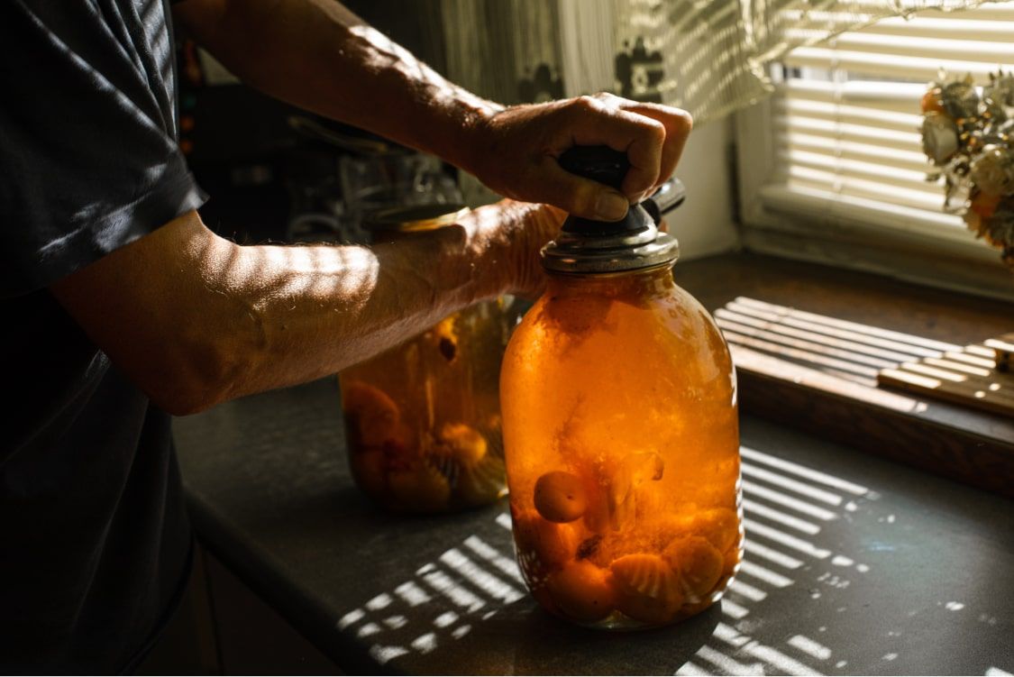 soaking and fermenting the apricot wine