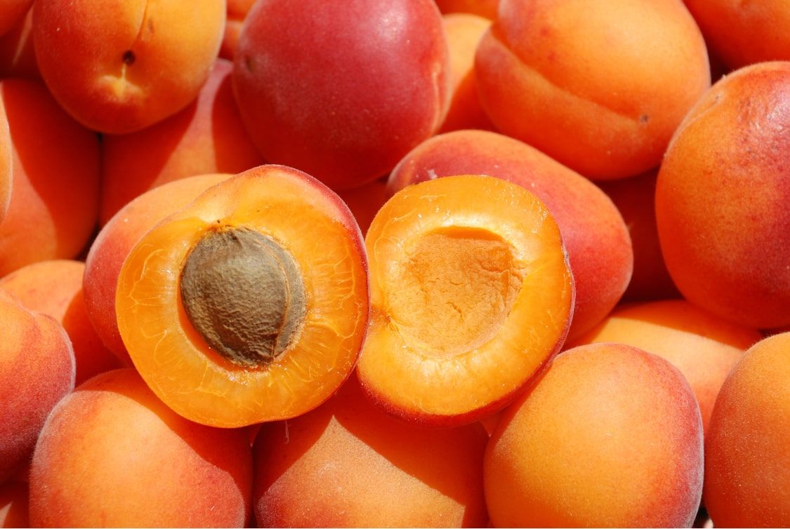 wine-pairing-apricot
